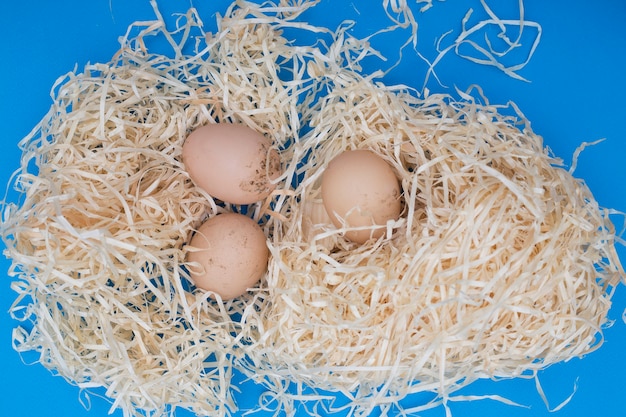 Stillleben mit Hühnereiern auf Holzspänen