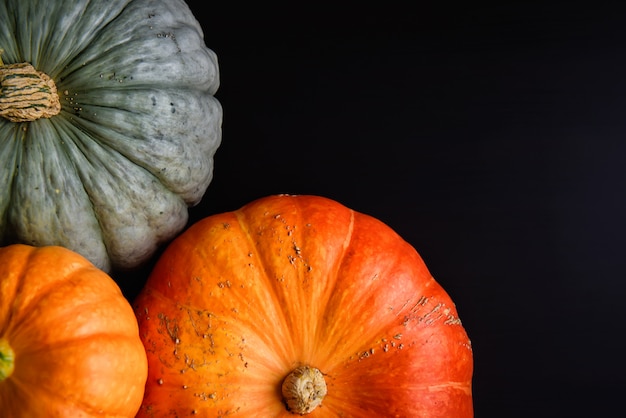 Stillleben mit Kopierraum verschiedener Kürbissorten in orange und grüner Farbe auf schwarzem Holz