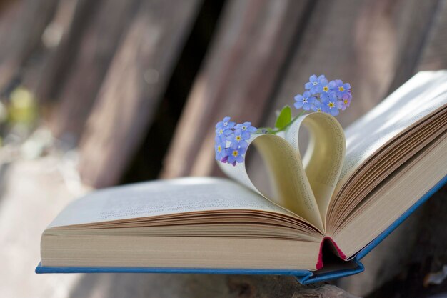 Stillleben mit offenem Buch und blauen Vergissmeinnicht-Blumen