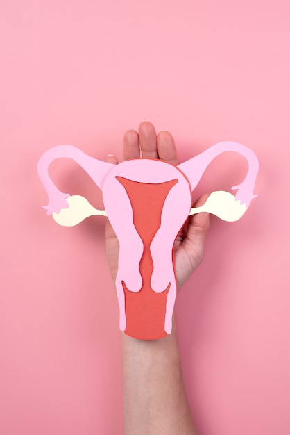 Stillleben-Papier-Eierstockform