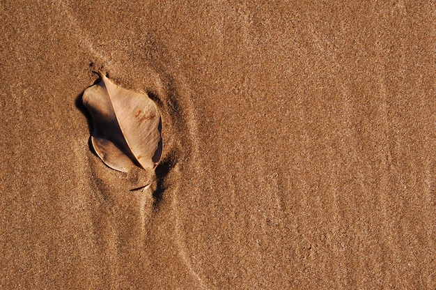 Stillleben verlassen und Sand