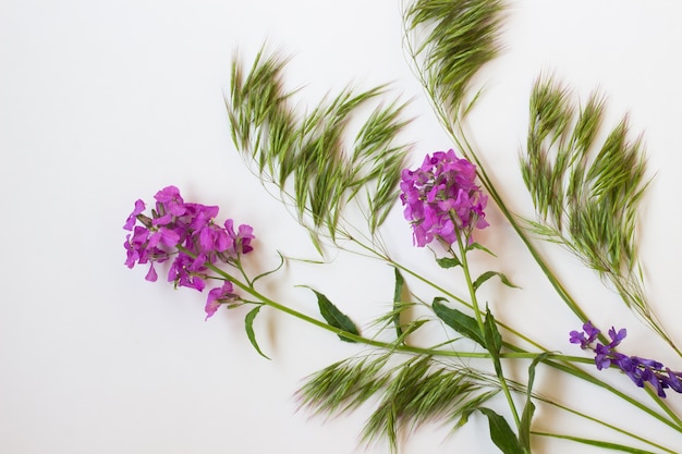 Stillleben von Frühlingsblumen. Draufsicht