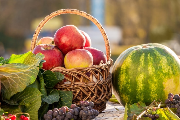 Stillleben von Äpfeln in einem Korb, Wassermelone und Trauben