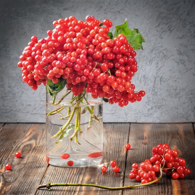 Stilllebenbeeren eines Viburnum in einem Glas