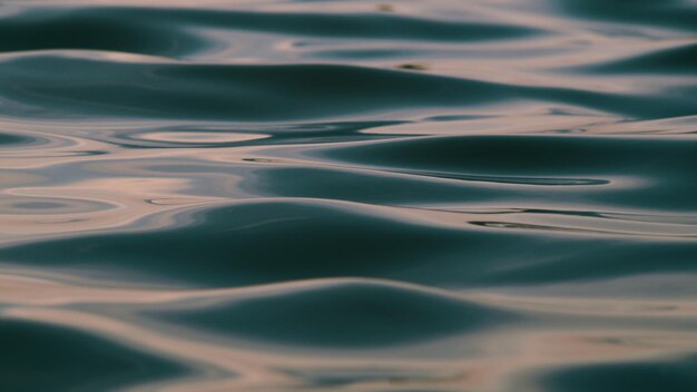 Foto stilvolle blaue welle auf transparentem hintergrund