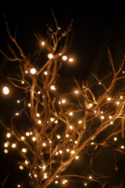 Stilvolle Glühbirnen und Weihnachtsbeleuchtung auf Ästen am Stadtplatz am Abend Stimmungsvolle festliche Einrichtung in der Stadtstraße Atmosphärische Winterferien