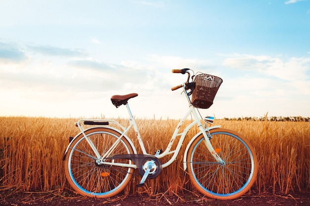 Stilvolles Fahrrad bei Sonnenuntergang auf dem Land