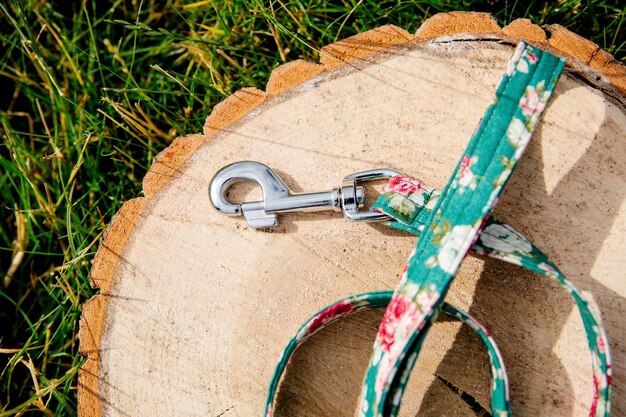 Stilvolles, helles und bequemes Halsband aus der Zoohandlung für gehorsame Hunde, Katzen oder andere Haustiere und Domesti