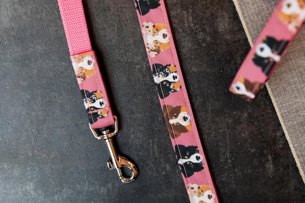 Stilvolles, helles und bequemes Halsband aus der Zoohandlung für gehorsame Hunde, Katzen oder andere Haustiere und Domesti