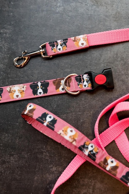 Stilvolles, helles und bequemes Halsband aus der Zoohandlung für gehorsame Hunde, Katzen oder andere Haustiere und Domesti