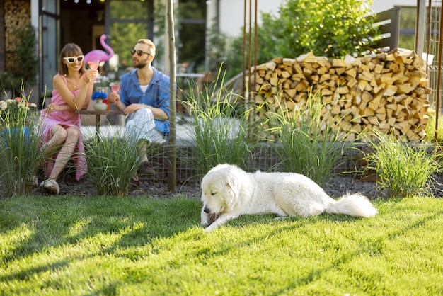 Stilvolles Paar verbringt die Sommerzeit mit Hund im Hinterhof