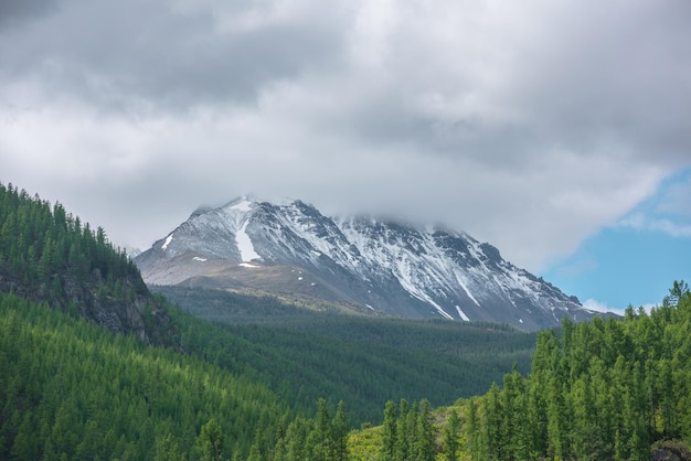 Stimmungsvolle grüne Landschaft mit sonnenbeschienenen Waldhügeln und hohen Schneebergen in niedrigen Wolken. Wunderschöne Berglandschaft mit Nadelbäumen im Sonnenlicht und großen schneebedeckten Berggipfeln unter bewölktem Himmel