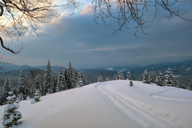 Stimmungsvolle Landschaft mit Wanderwegen und kahlen dunklen Bäumen bedeckt mit frisch gefallenem Schnee im Winterbergwald an einem kalten, düsteren Abend.