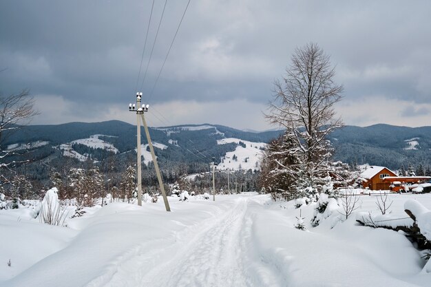 Stimmungsvolle Landschaft mit Wanderwegen und Kiefern bedeckt mit frisch gefallenem Schnee im Winterbergwald an einem kalten, düsteren Abend.