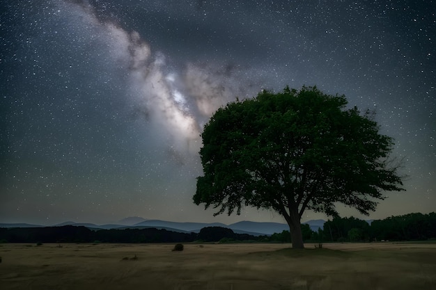 StockPhoto Vía Láctea galaxia sobre el paisaje de árboles estrellas del cielo nocturno