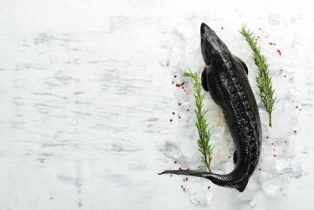 Störfisch mit rosmarin und gewürzen auf weißem küchenhintergrund draufsicht flach liegend