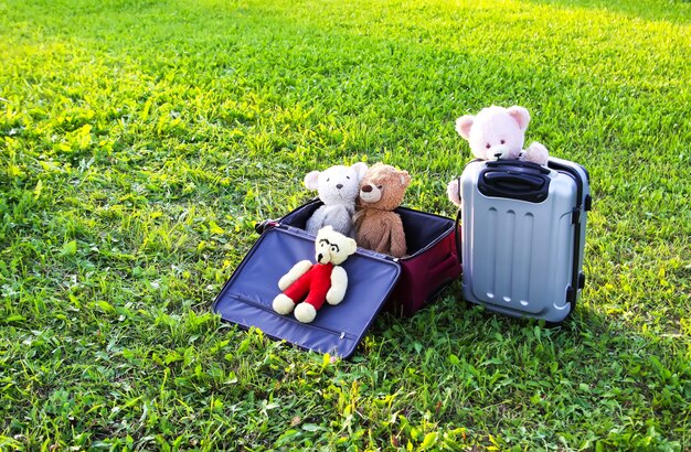 Stofftiere auf reisetaschen auf grünem gras im freien im sonnenlicht.