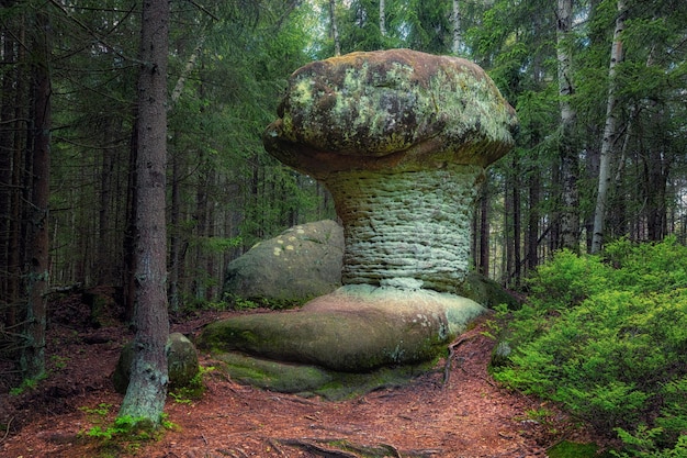 Stolowe Mountains National Park Polen