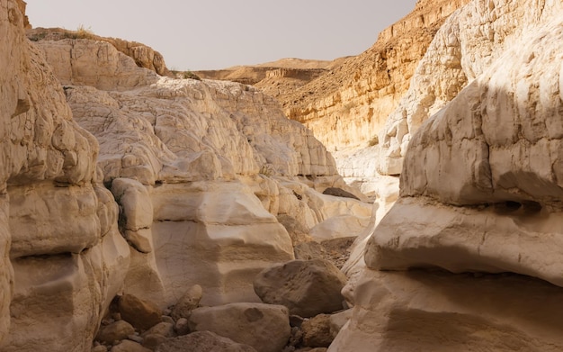 Stone Canyon in der Judäischen Wüste in Israel