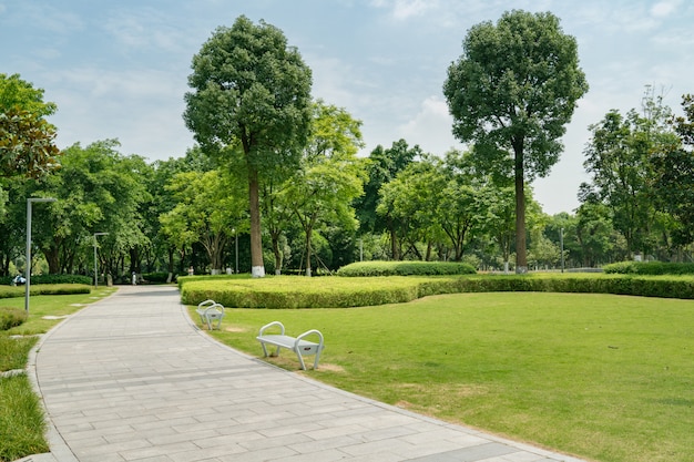 Stone Pathway en un exuberante parque verde