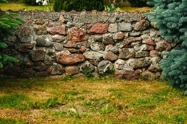 Stone Wallwall befindet sich im Discovery Park - Seattle