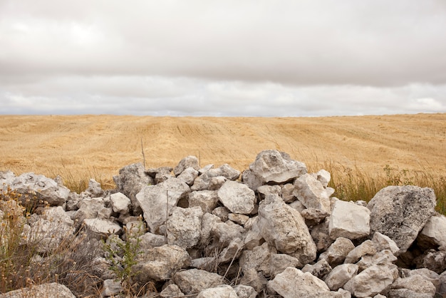 Stonewall auf dem Lande