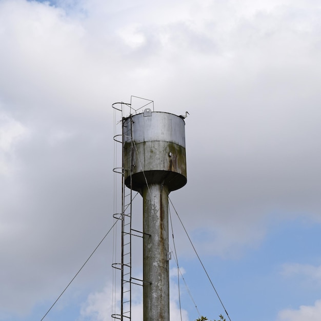 Storch auf dem Dach eines Wasserturms Storchennest