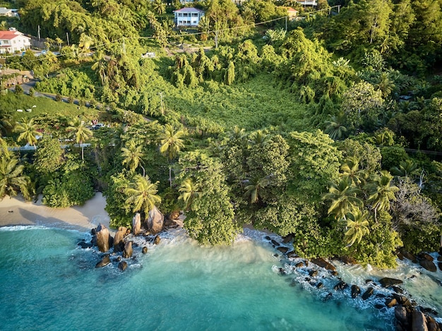 Strand auf den Seychellen aus der Vogelperspektive