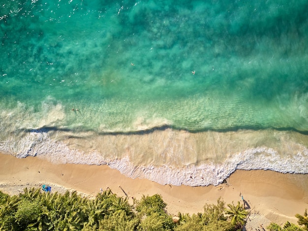 Strand auf den Seychellen aus der Vogelperspektive