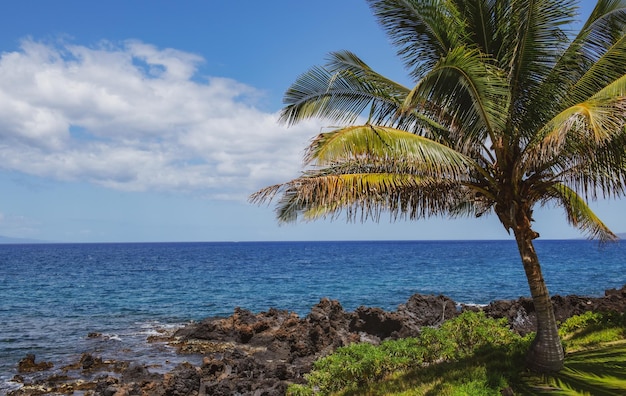 Strand auf Hawaii Traumlandschaft Paradies Sonnenstrand mit türkisfarbenem Meer Sommerurlaub und tropisch