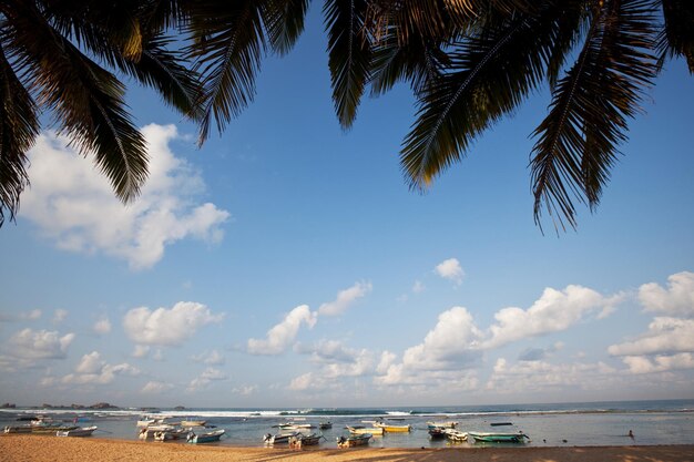 Strand auf Sri Lanka