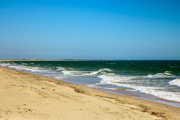 Strand des Nationalparks.