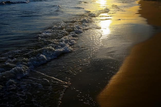 Strand in den Tropen