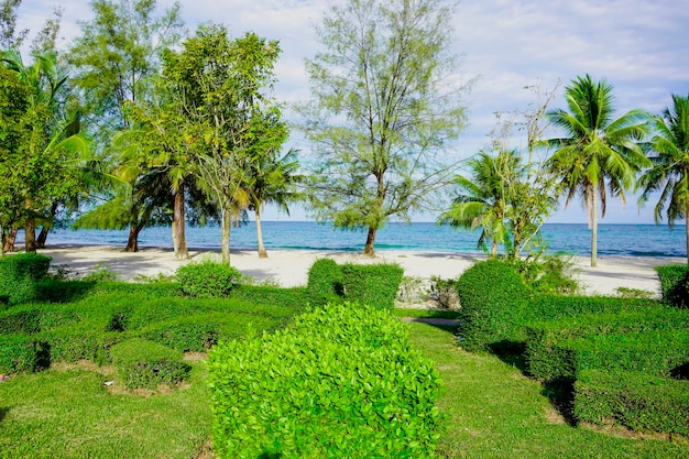 Strand in Sihanoukville Palmen und blaues Meer