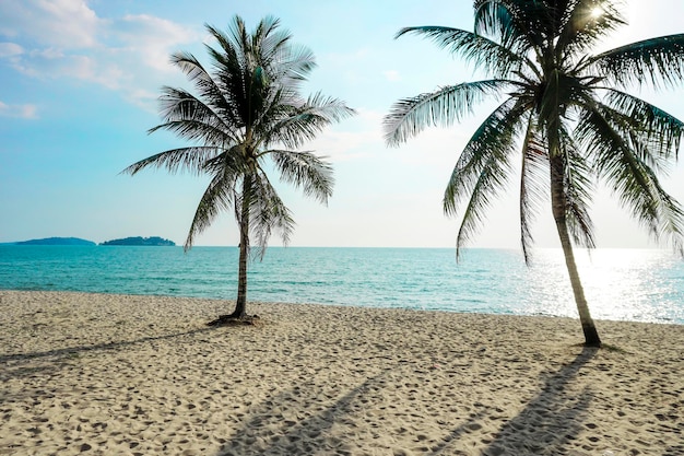 Foto strand in sihanoukville palmen und blaues meer