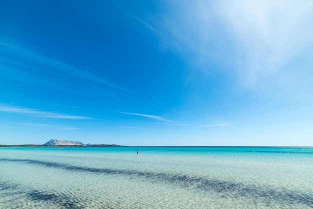 Strand La Cinta mit Insel Tavolara im Hintergrund Sardinien