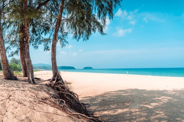 Strand, Meer und Himmel an einem sonnigen Tag auf einer tropischen Insel