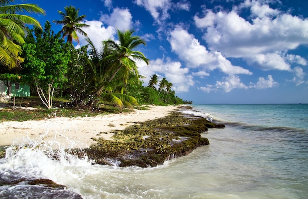 Strand mit karibischem Meer