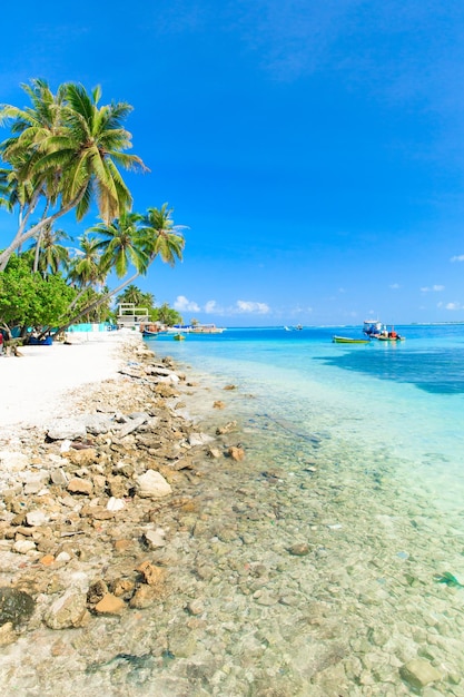 Strand mit Malediven