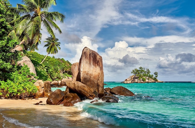 Strand mit Palmen- und Felsenlandschaft