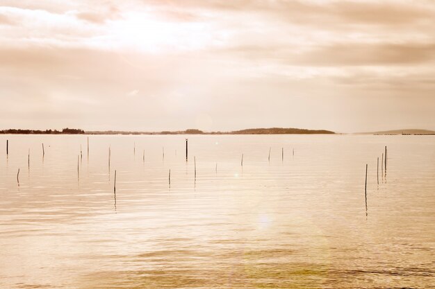 Strand mit ruhigem Meer