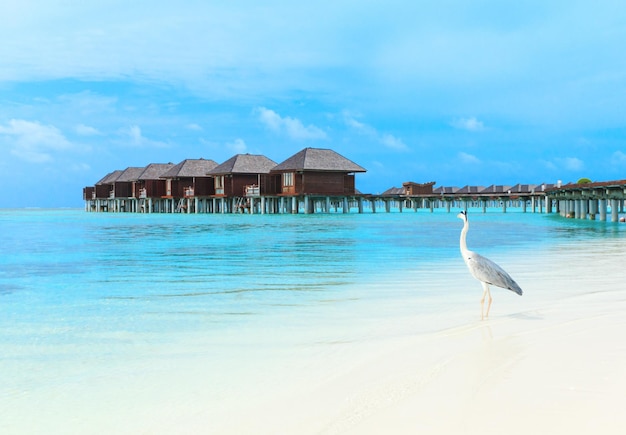 Strand mit Wasserbungalows Malediven