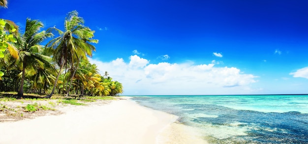 Strand mit weißem Sand, Sonne und ruhigem Meer. Tropisches Banner.