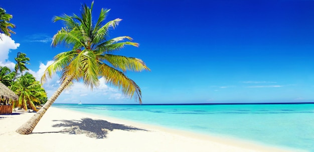 Strand mit weißer Sandsonne und ruhigem Ozean Tropisches Banner