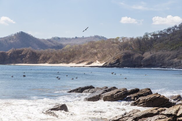 Strand mitten am Tag mit einer wunderschönen Landschaft aus Felsen, Sand und blauem Himmel