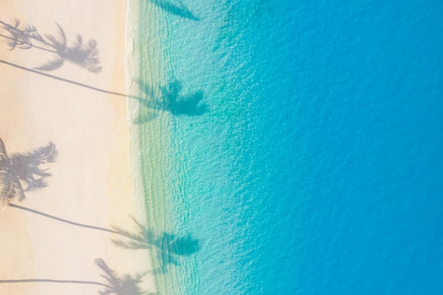Strand Palmen beschatten sonnigen Sandstrand Ufer türkisfarbenen Ozean von oben Erstaunliche Sommernatur