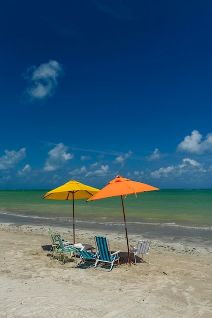 Strand Sao Miguel dos Milagres Alagoas Brasilien Bunte Sonnenschirme und Stühle am Toque Beach
