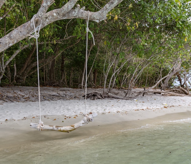 Foto strand schwingt