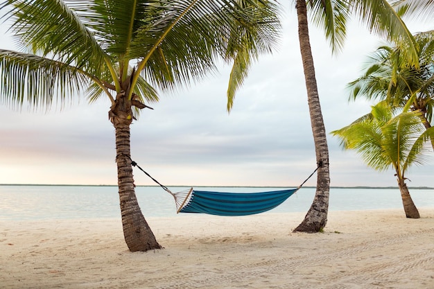 Strand-, Sommer- und Freizeitkonzept - blaue Hängematte am tropischen Strand