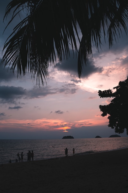 Strand und Kokospalmen am Abend In den Tropen